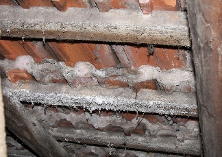 Salpeterdach Salpeterdach